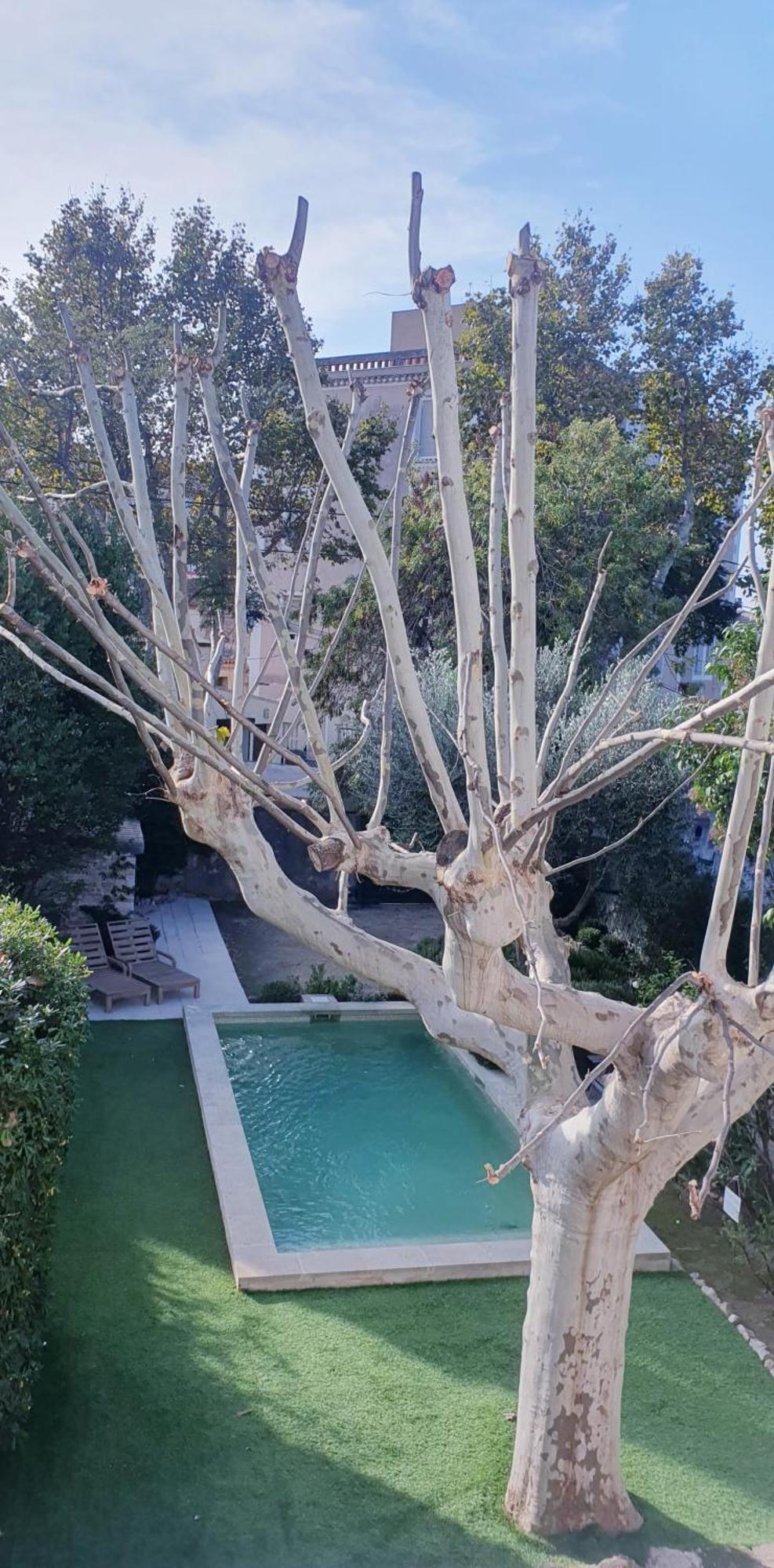Maison D'Hotes La Bastide De Patou, Suite De 2 A 6 Personnes Marselha Exterior foto